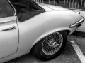jaguar_2150x1533.jpg
