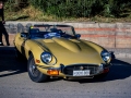 MG_5076